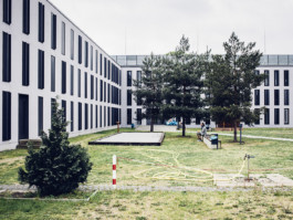 Reportage Freigänger offener Vollzug